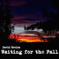 Waiting for the Fall1